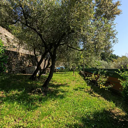 Ferienhaus Iflat Casa Degli Ulivi *