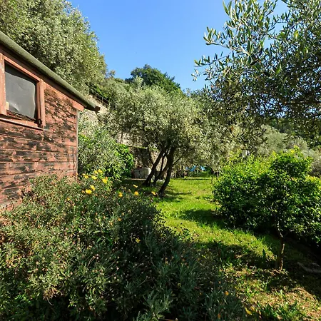 Ferienhaus Iflat Casa Degli Ulivi *